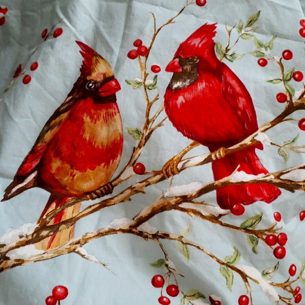 Pottery Barn Euro Shams